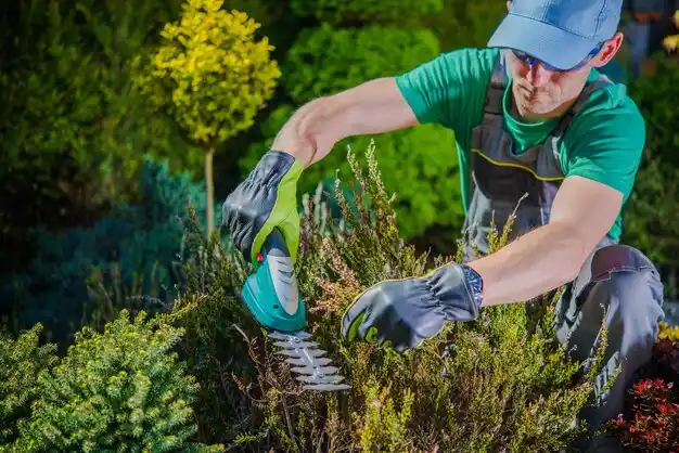landscaping services Darbydale